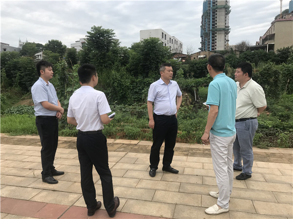 7月6日。黃勁松深入板塘片區(qū)重點(diǎn)項目調(diào)研.jpg