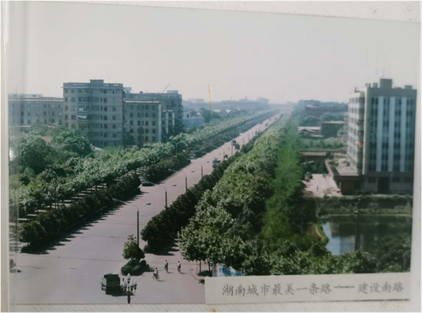 1982年修建的建設(shè)南路，曾被評為“湖南城市最美一條路”.png
